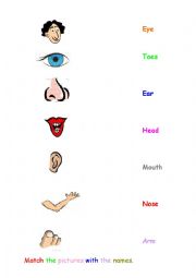 English Worksheet: BODY PARTS