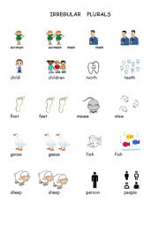 English Worksheet: Plurals