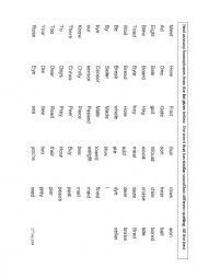 English Worksheet: homophones