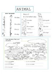 Animals worksheet