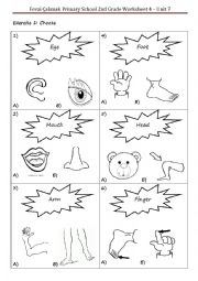 English Worksheet: Body Parts Worksheet