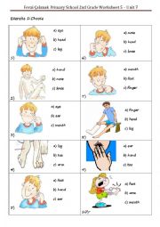 English Worksheet: Body Parts Worksheet 2