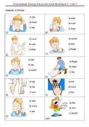 Body Parts Worksheet 2