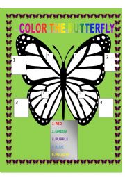 English Worksheet: BUTTERFLY