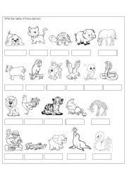 English Worksheet: Animals