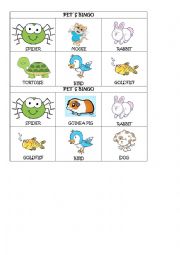 English Worksheet: pets bingo