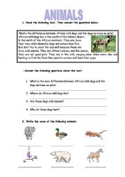 English Worksheet: animals test