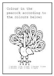 English Worksheet: Peacock colours