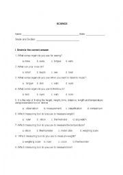English Worksheet: Scientific processes