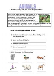 English Worksheet: wild dogs