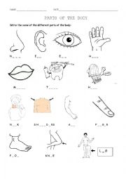 HUMAN BODY -BODY PARTS - PARTS OF THE BODY - 1 face,5 shoulder,9 forearm,13  waist