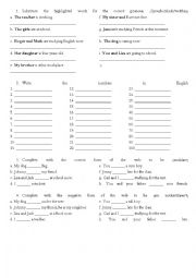 English Worksheet: Basic Grammar