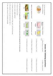 English Worksheet: animal homes