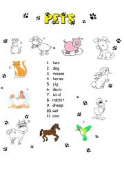 English Worksheet: Pets