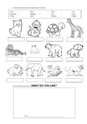 English Worksheet: Animals