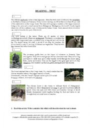 English Worksheet: Endangered Species