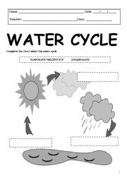 English Worksheet: Water Cycle