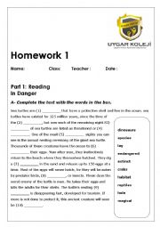 English Worksheet: reading