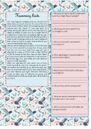 English Worksheet: HUMMING BIRDS (READING ACTIVITY)