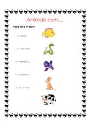 animals can