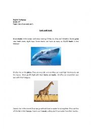 English Worksheet: Animals