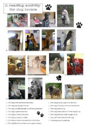 English Worksheet: A reading activity for dog lovers
