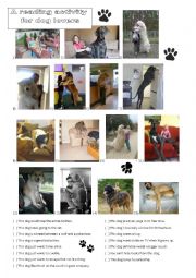 A reading activity for dog lovers