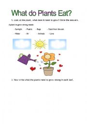 English Worksheet: What do plants need to eat?
