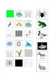 English Worksheet: Pictorial riddles