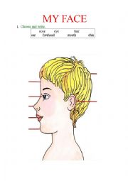 English Worksheet: Parts of the body