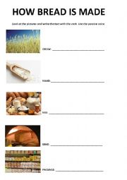 English Worksheet: How bread is made