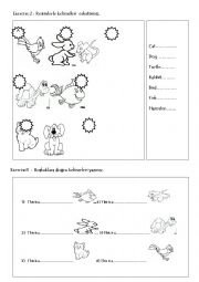 English Worksheet: pets