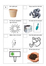 English Worksheet: cycle of a plants life