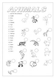 English Worksheet: animals 