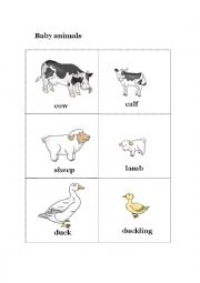 English Worksheet: baby animals
