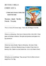 English Worksheet: Beverly hills Chihuahua