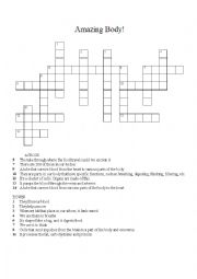 English Worksheet: Amazing Body Crossword Puzzle
