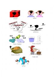 English Worksheet: Who, when, where, how