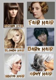 English Worksheet: HAIR