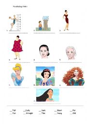English Worksheet: Vocabulary about adjectives
