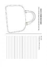 English Worksheet: What is in my bag? Have/Has Got