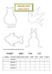 English Worksheet: Animals and Body Parts