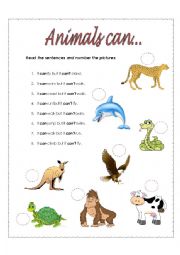 English Worksheet: animals can...