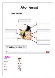 English Worksheet: my head