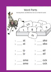 English Worksheet: word parts