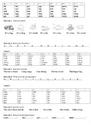 English Worksheet: the rules and practice for reading