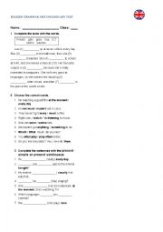 English Worksheet: grammar test