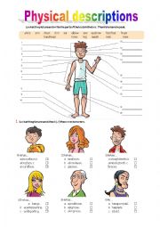 English Worksheet: Parts of the body/ Physical descriptions