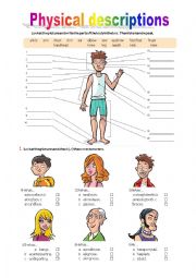 English Worksheet: Parts of the body/ Physical descriptions