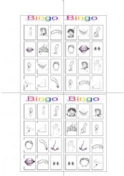 bingo body parts